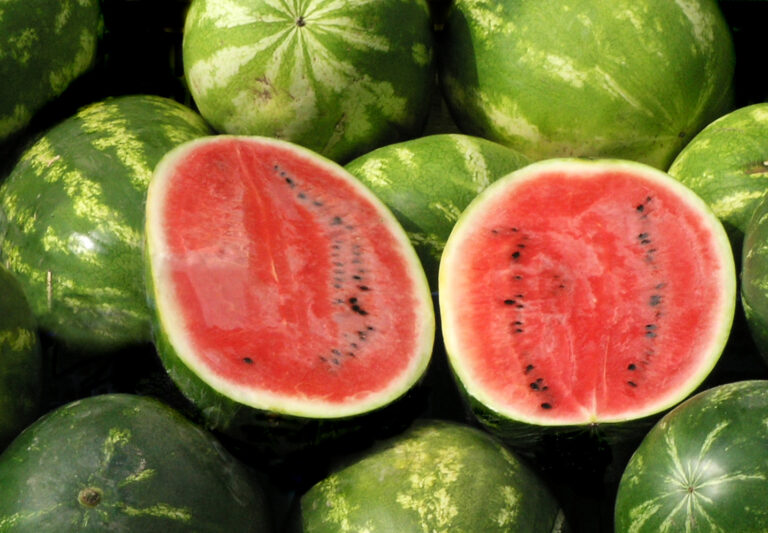 Meloun - ovoce - polovina, rozpůlený, rozdělený