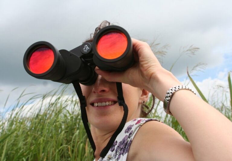 Dívka s dalekohledem - výhled do roku 2018