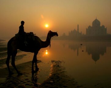 Indie - Taj Mahal - člověk na velbloudu