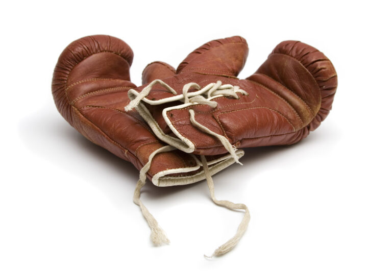 boxing gloves boxovací rukavice