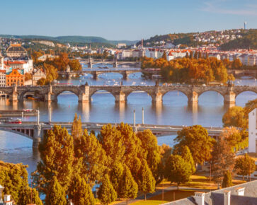 dopady koronaviru na český realitní trh