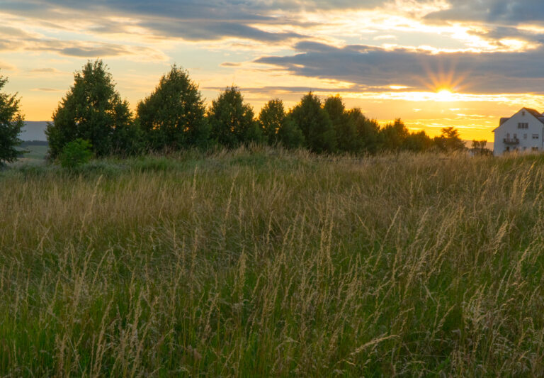 nedostatečně identifikovaní vlastníci